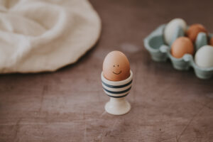 todo sobre los huevos